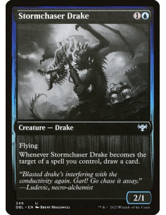Stormchaser Drake