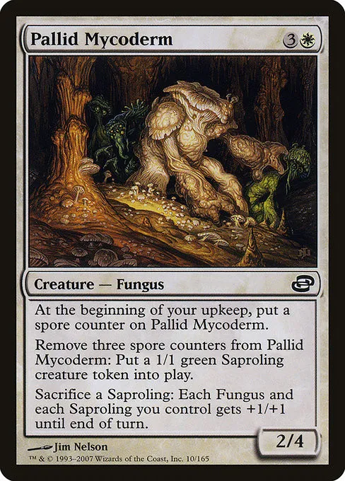 Pallid Mycoderm - Foil