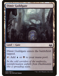 Dimir Guildgate - Foil