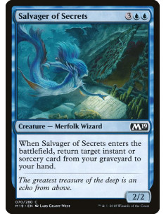 Salvager of Secrets