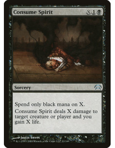 Consume Spirit