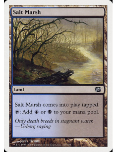 Salt Marsh