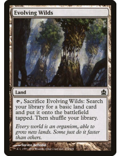 Evolving Wilds