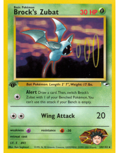 Brock's Zubat