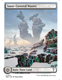 Snow-Covered Wastes