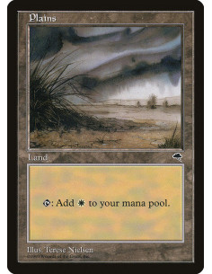 Plains