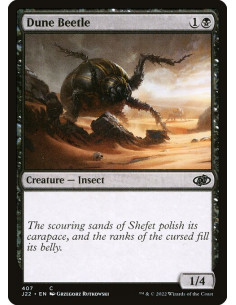 Dune Beetle