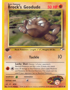 Brock's Geodude