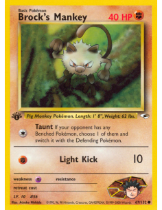 Brock's Mankey