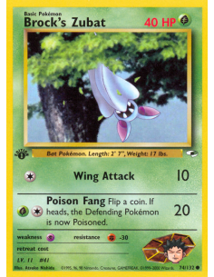Brock's Zubat