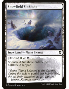 Snowfield Sinkhole