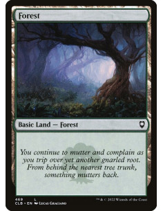 Forest