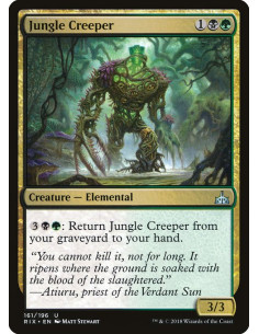 Jungle Creeper