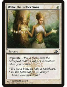 Wake the Reflections - Foil