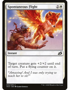 Spontaneous Flight - Foil
