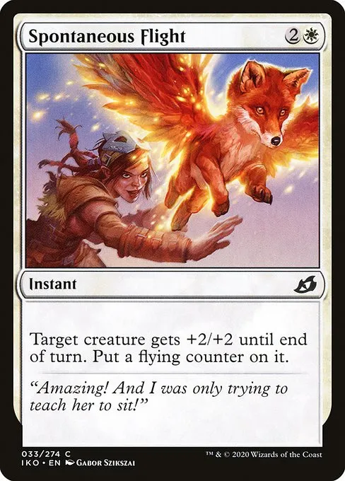 Spontaneous Flight - Foil