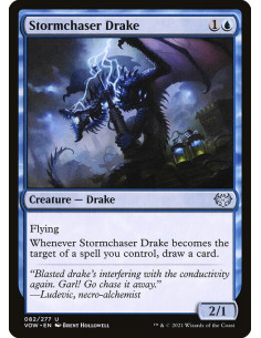 Stormchaser Drake