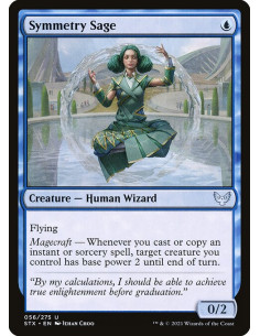 Symmetry Sage