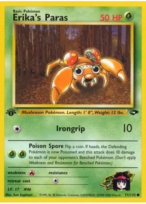 Erika's Paras