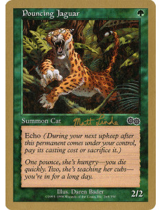 Pouncing Jaguar