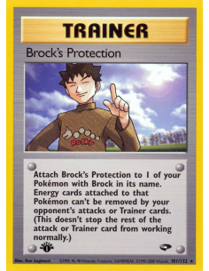 Brock's Protection