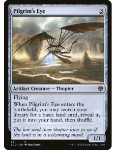 Pilgrim's Eye