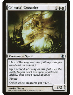 Celestial Crusader
