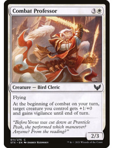 Combat Professor - Foil