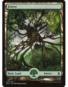 Forest - Foil