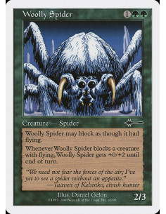 Woolly Spider