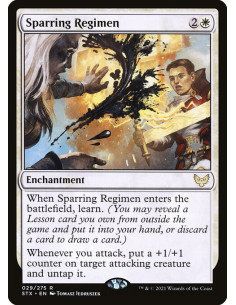 Sparring Regimen - Foil