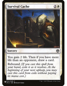 Survival Cache