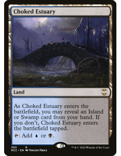 Choked Estuary