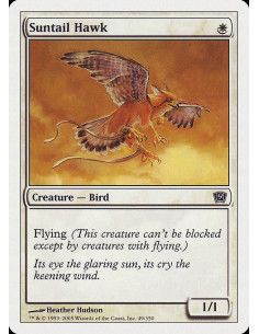 Suntail Hawk