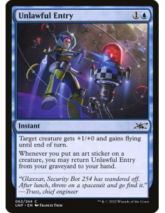 Unlawful Entry - Foil