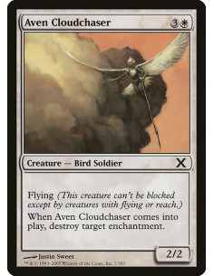 Aven Cloudchaser