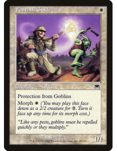 Foothill Guide - Foil