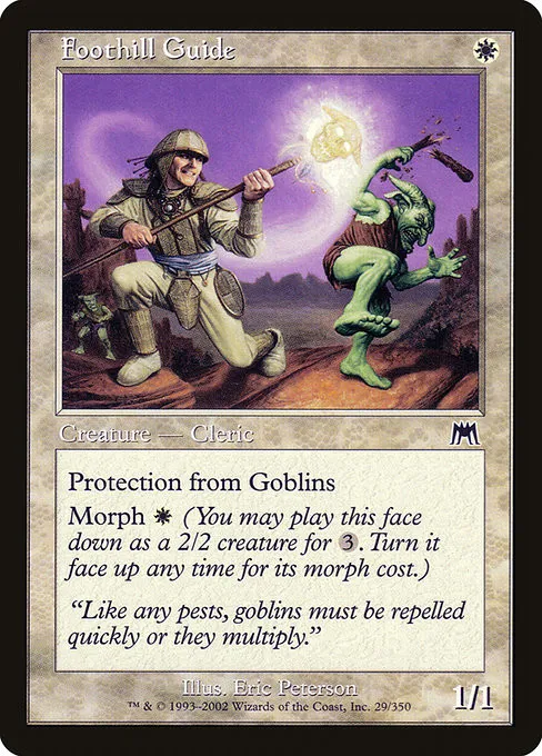 Foothill Guide - Foil
