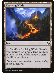 Evolving Wilds