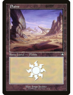Plains