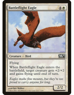 Battleflight Eagle