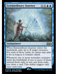 Extraordinary Journey - Foil