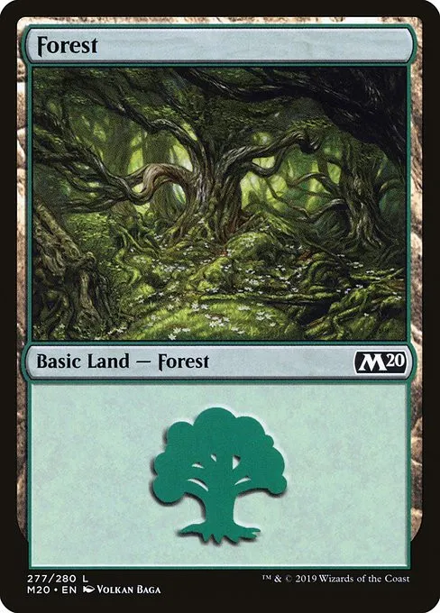 Forest - Foil