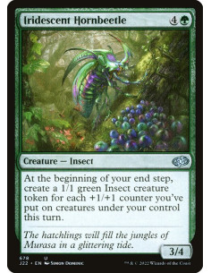 Iridescent Hornbeetle