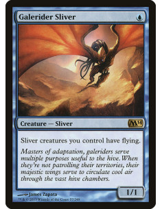 Galerider Sliver