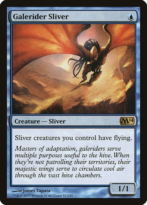 Galerider Sliver - Foil