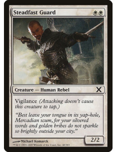 Steadfast Guard