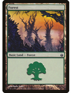 Forest - Foil