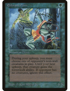 Erhnam Djinn