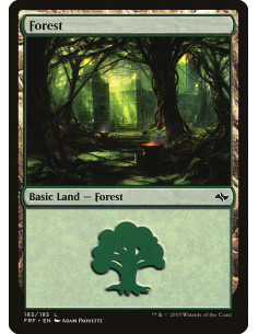 Forest - Foil